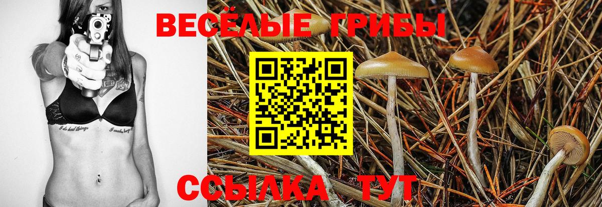 Галлюциногенные грибы MAGIC MUSHROOMS  Вход с VPN  Псилоцибиновые грибы Psilocybe  Егорьевск 